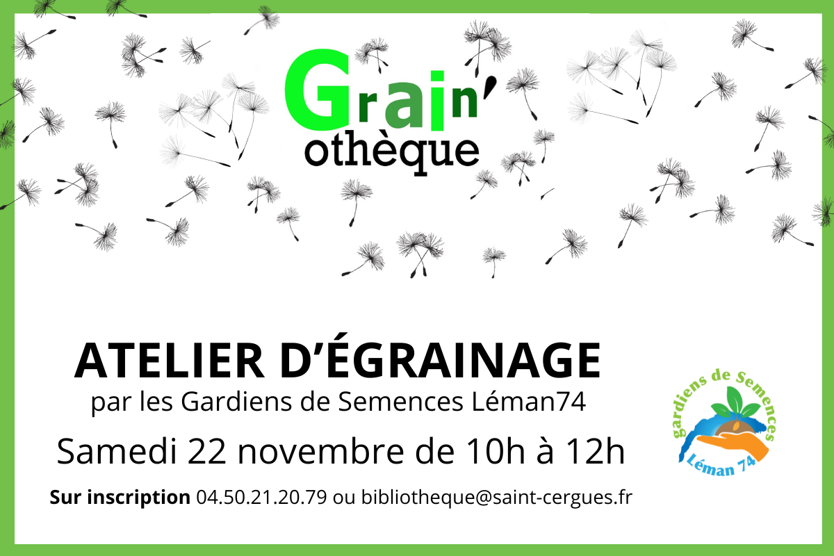 Atelier d’égrainage à la bibliothèque !