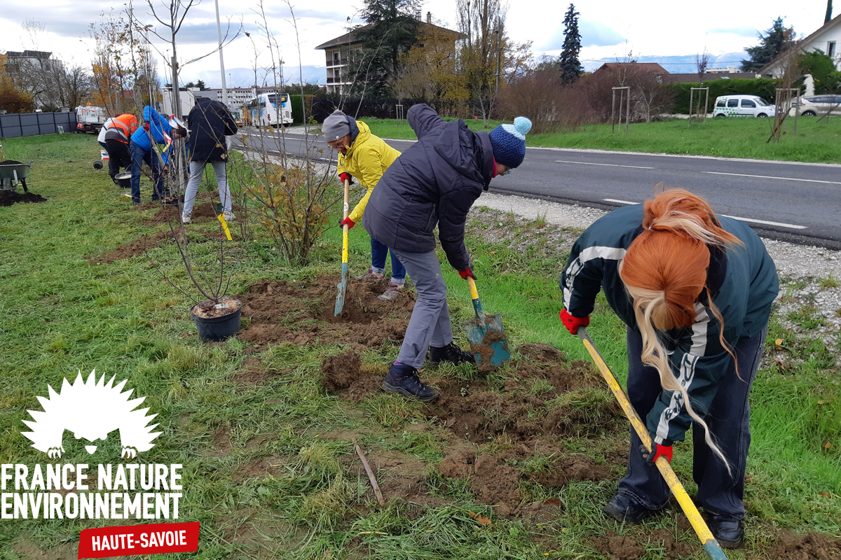 Et si on plant’Haie à Saint-Cergues ?