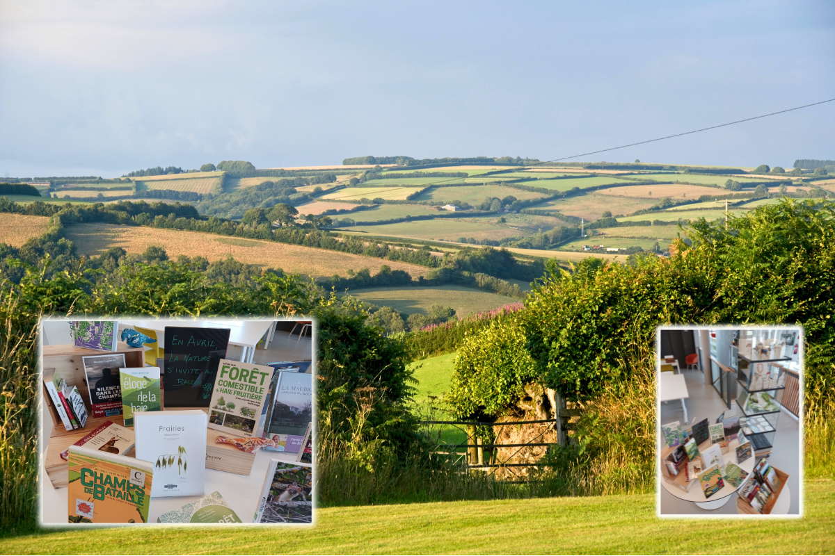 En avril, la nature s’invite à bibliothèque&nbsp;!
