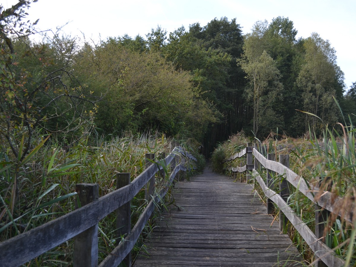 Sentier du Foron