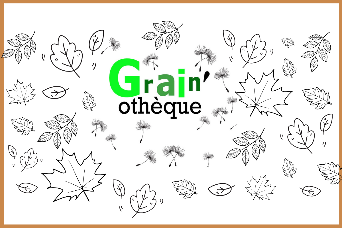 Prochain RDV jardinage à la bibliothèque&nbsp;!
