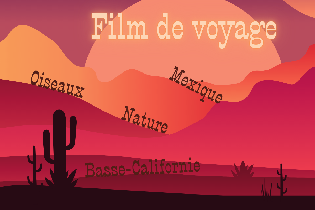 Film de voyage au Mexique