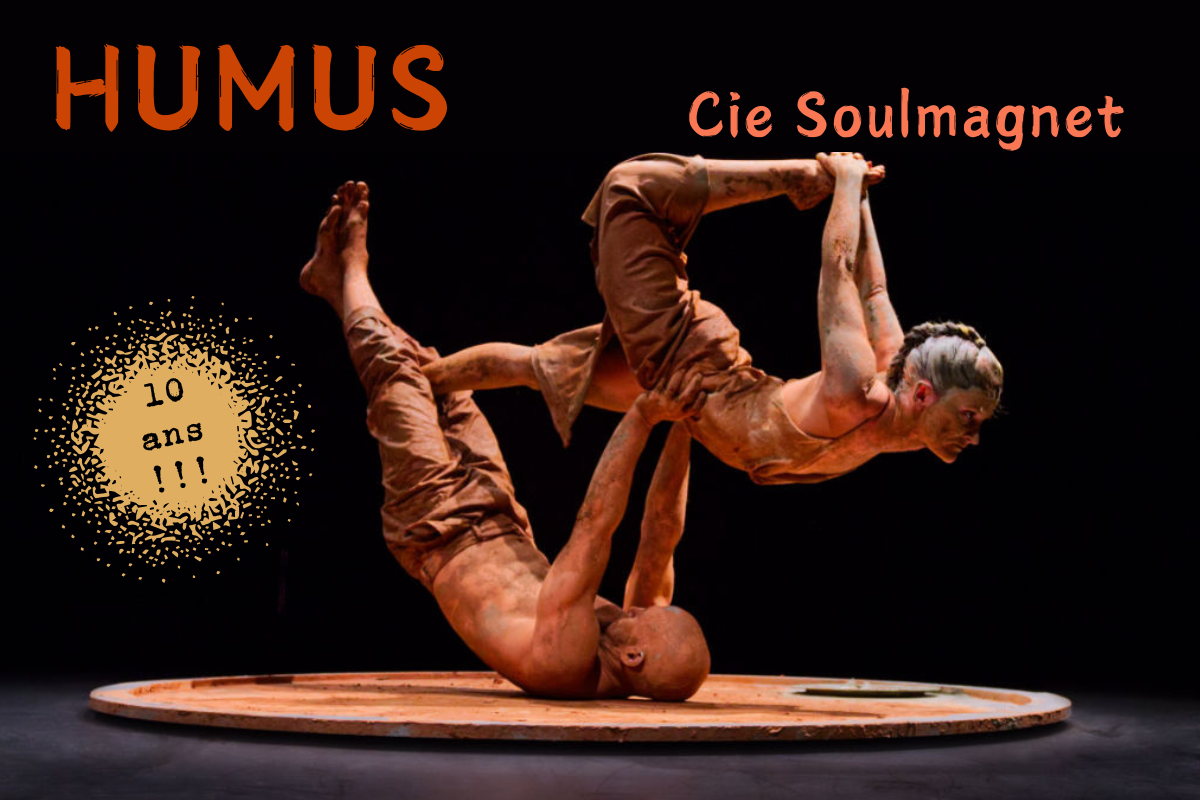 Un spectacle de danse unique pour les 10 ans de la bibliothèque&nbsp;!
